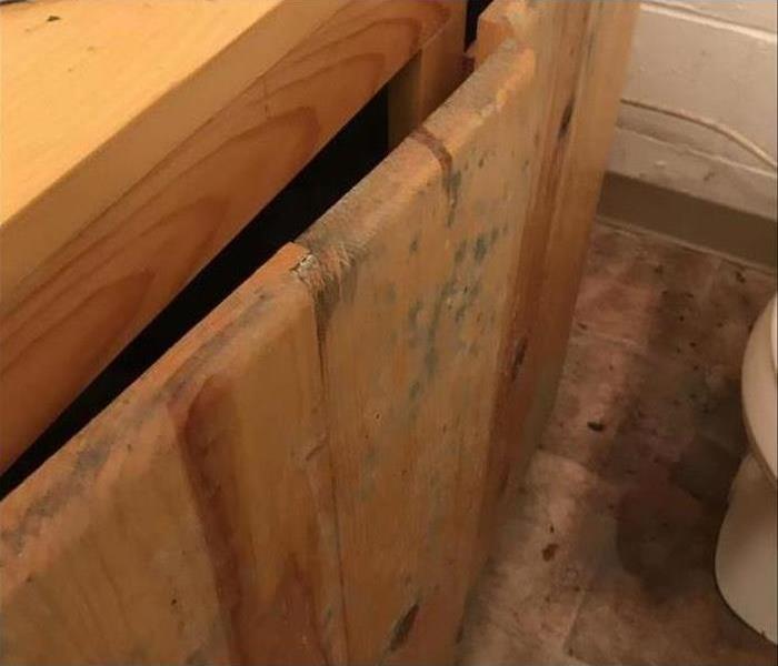 Cabinets affected with mold